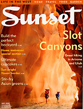 Sunset buckskin cover