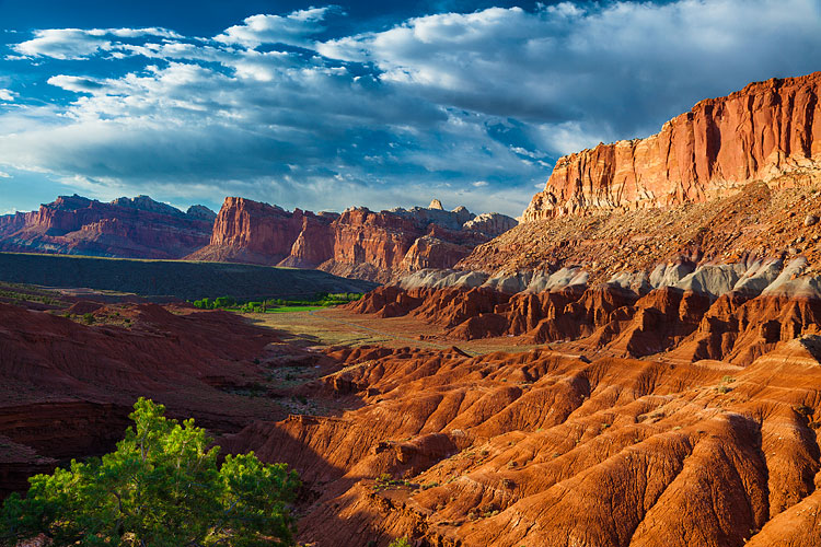 Capitol-Reef-2023-Thumbnail2023.jpg