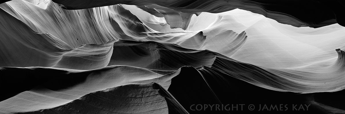 ID# 617-AZ-AN-0002-BW