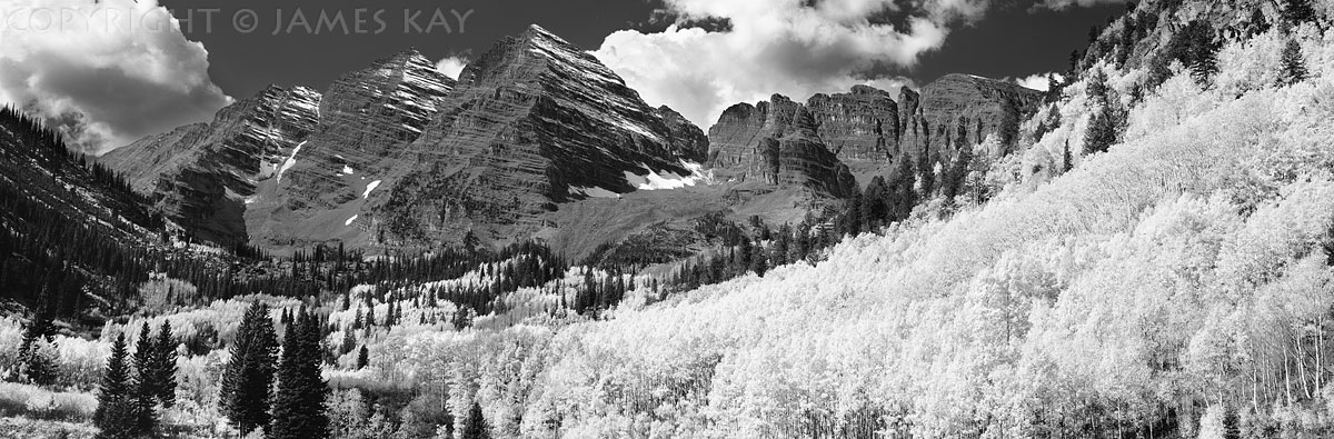 ID# 617-CO-ELK-0002-BW