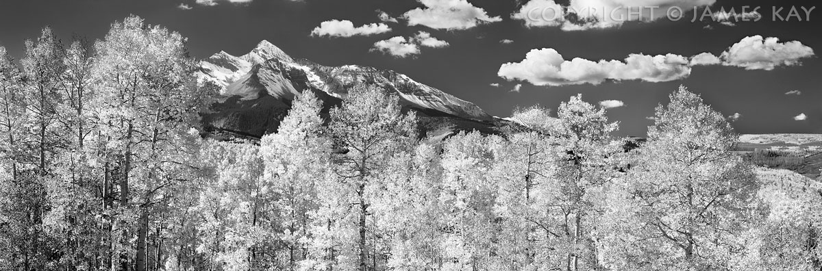 ID# 617-CO-SJ-0106-BW