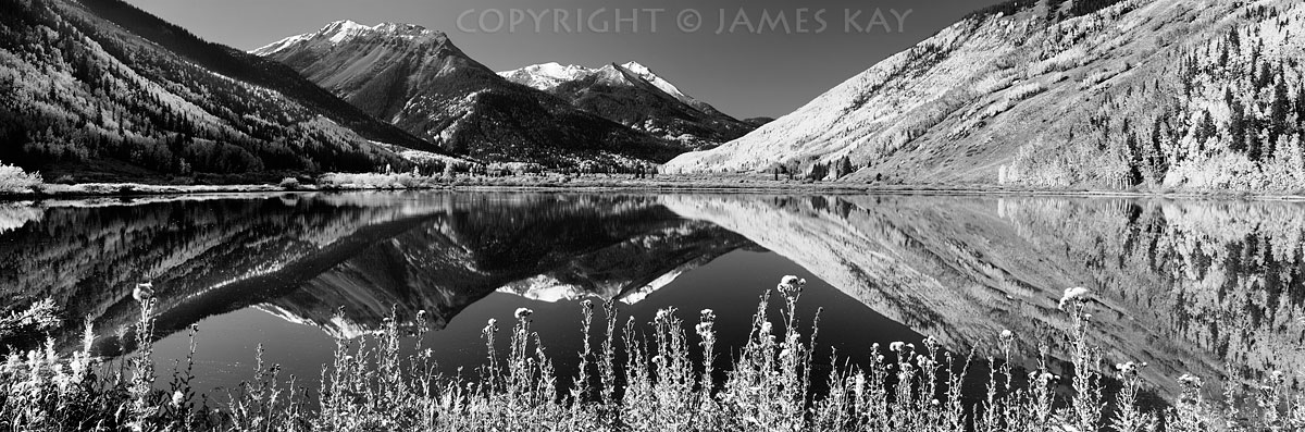 ID# 617-CO-SJ-0154-BW