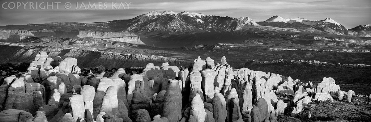 ID# 617-UT-AR-0020-BW