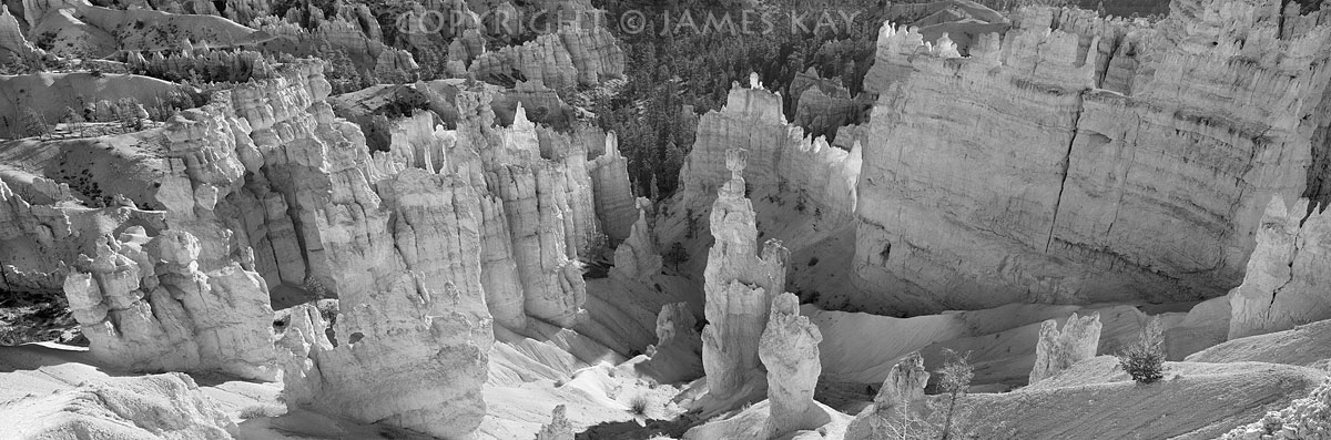 ID# 617-UT-BRY-0013-BW