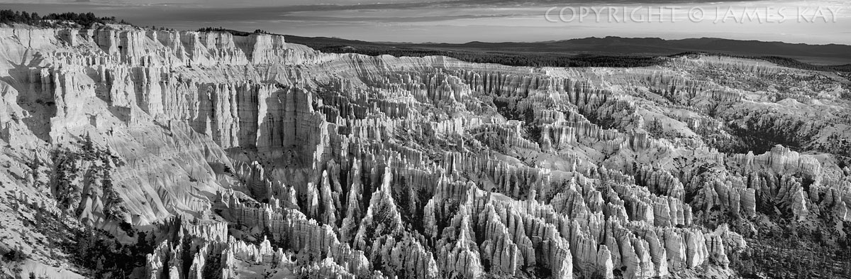 ID# 617-UT-BRY-0025-BW