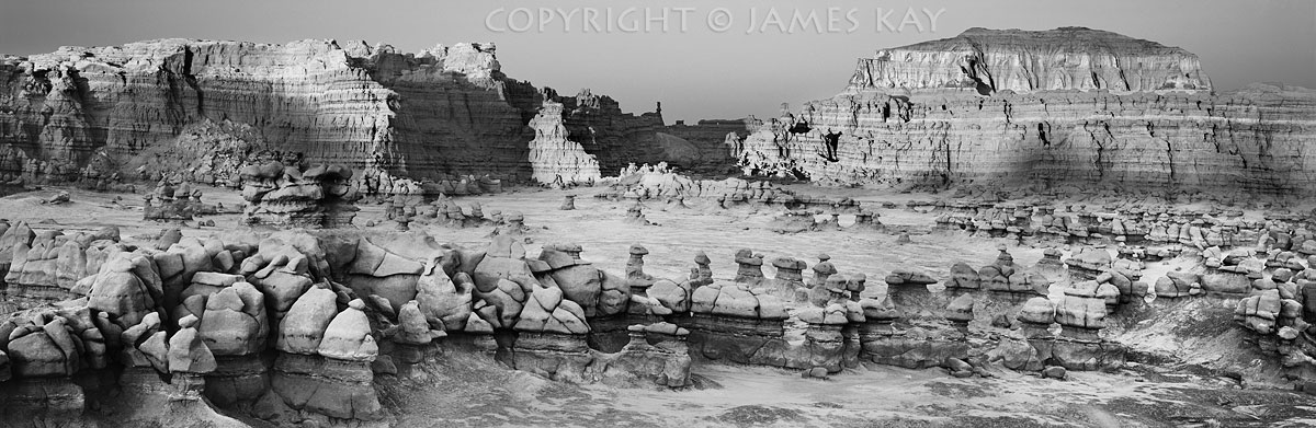 ID# 617-UT-GV-0001-BW