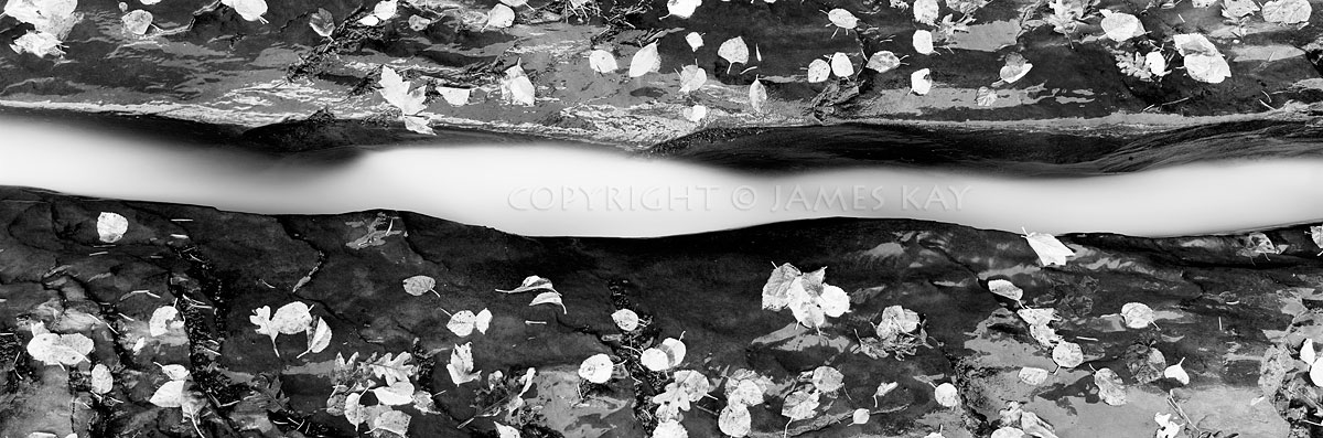 ID# 617-UT-ZN-0029-BW