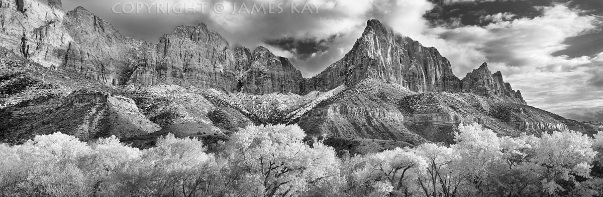 ID# 617-UT-ZN-0094-BW