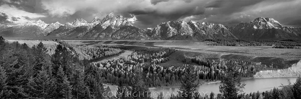 ID# 617-WY-TE-0032-BW