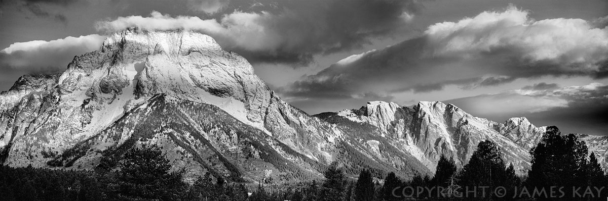 ID# 617-WY-TE-0110-BW