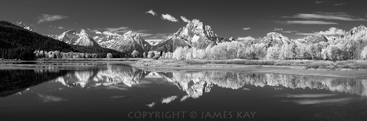 ID# 617-WY-TE-0132-BW