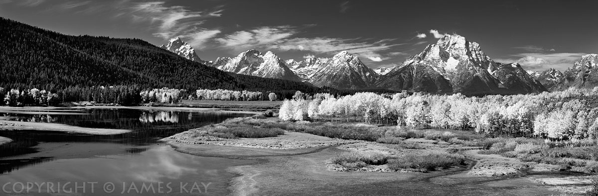 ID# 617-WY-TE-0148-BW