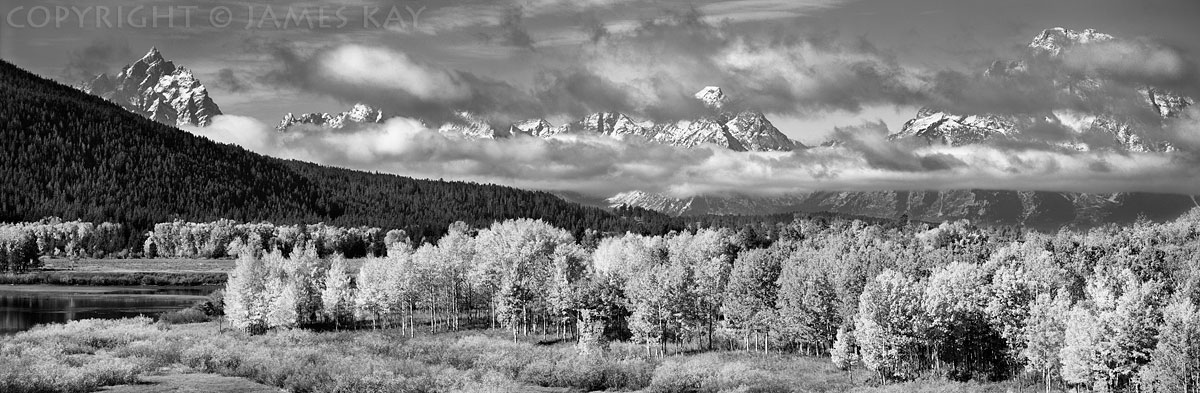 ID# 617-WY-TE-0155-BW