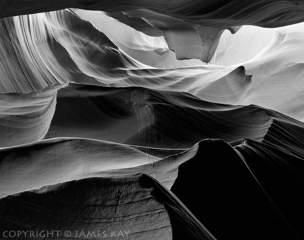 ID# 67-AZ-AN-0002P-BW