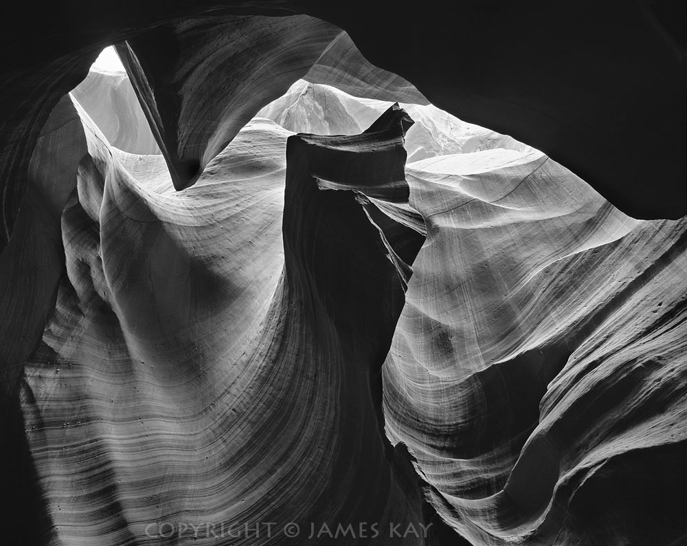 ID# 67-AZ-AN-0010-BW