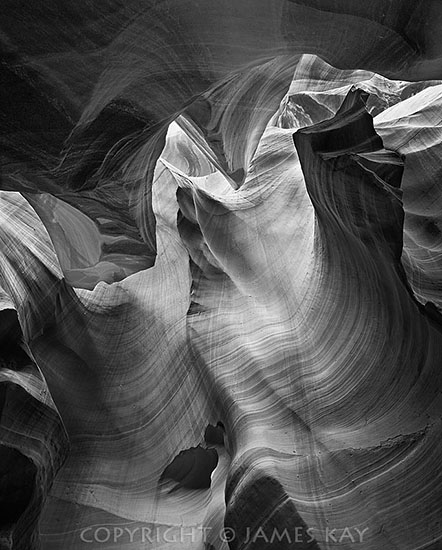 ID# 67-AZ-AN-0019-BW