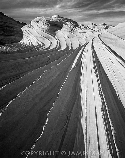 ID# 67-AZ-CB-0061-BW