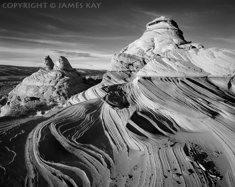 ID# 67-AZ-CB-0113-BW