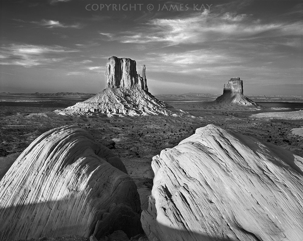 ID# 67-AZ-MV-0011-BW