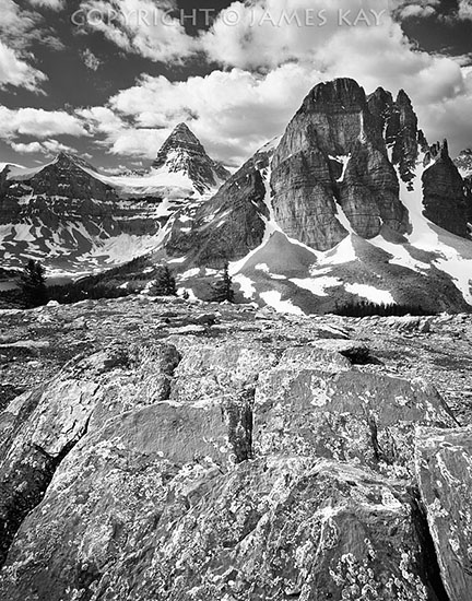 ID# 67-CN-AS-0012-BW