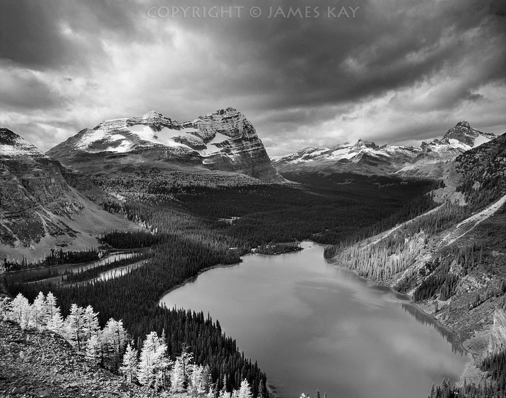 ID# 67-CN-YO-0048-BW