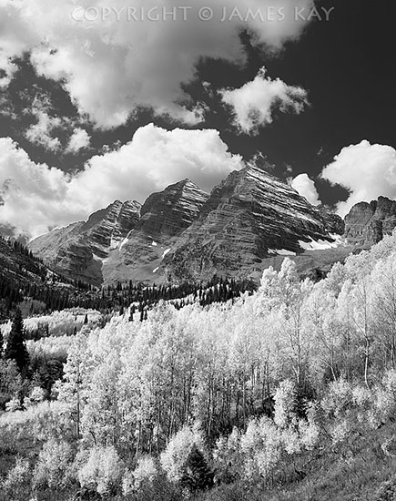 ID# 67-CO-ELK-0022-BW