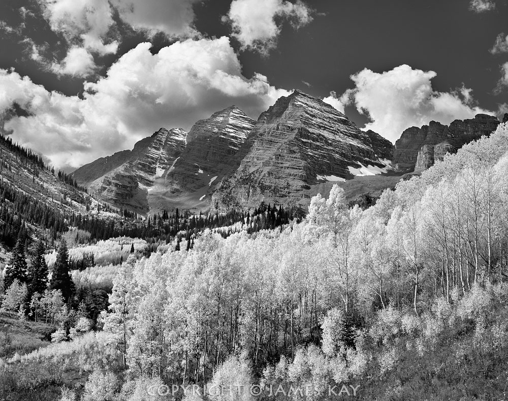 ID# 67-CO-ELK-0028-BW