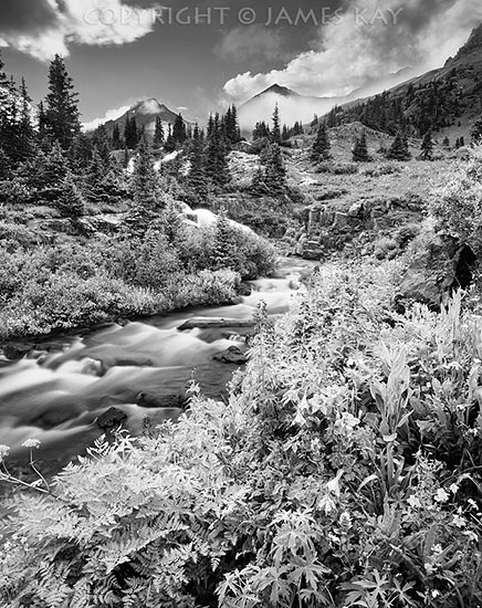 ID# 67-CO-SJ-0069-BW