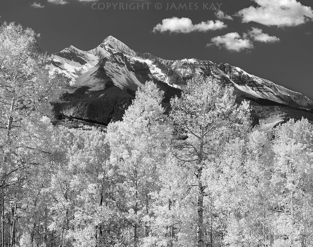 ID# 67-CO-SJ-0106P-BW