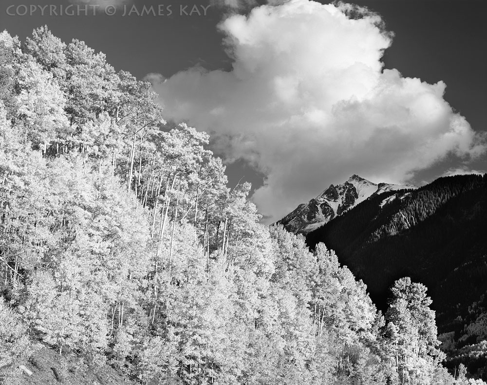 ID# 67-CO-SJ-0419-BW