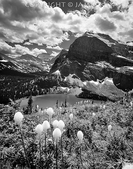 ID# 67-MNT-GP-0187-BW