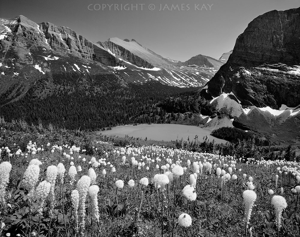 ID# 67-MNT-GP-0225-BW