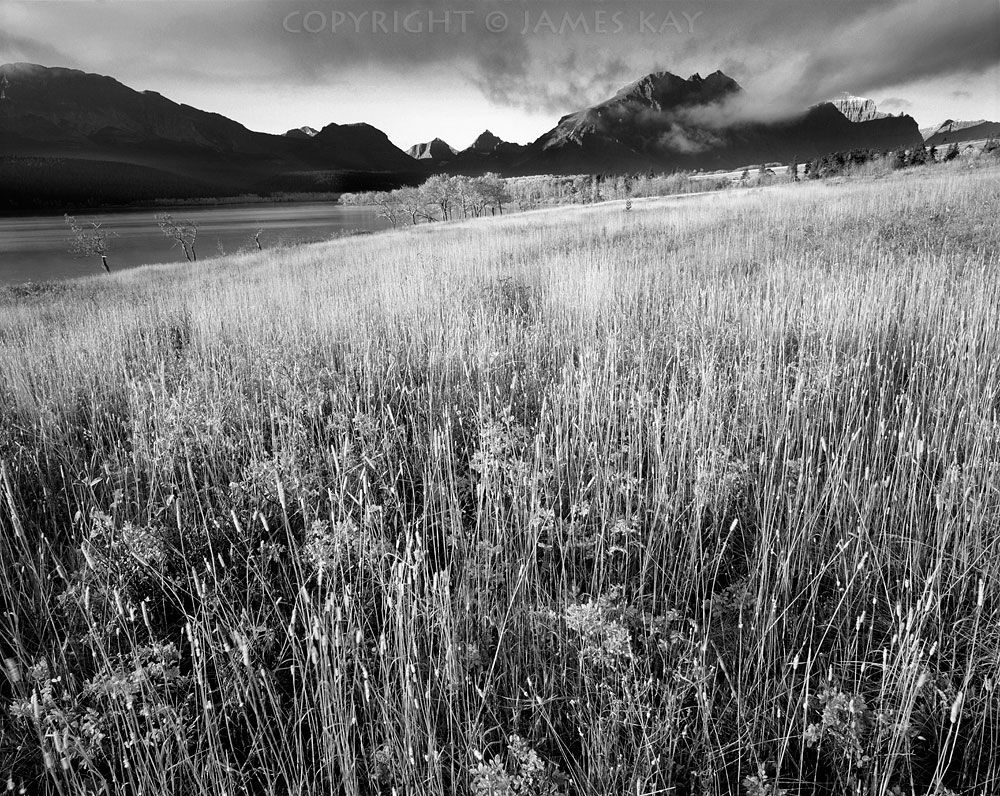 ID# 67-MNT-GP-0305-BW