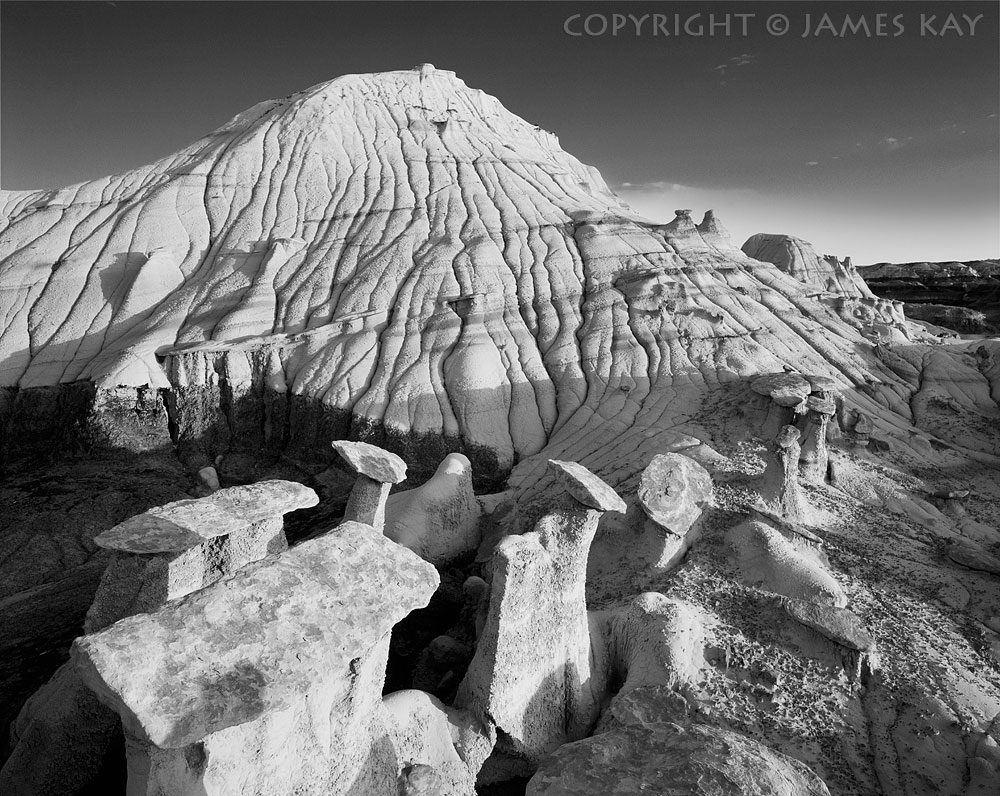 ID# 67-NM-BI-0007-BW