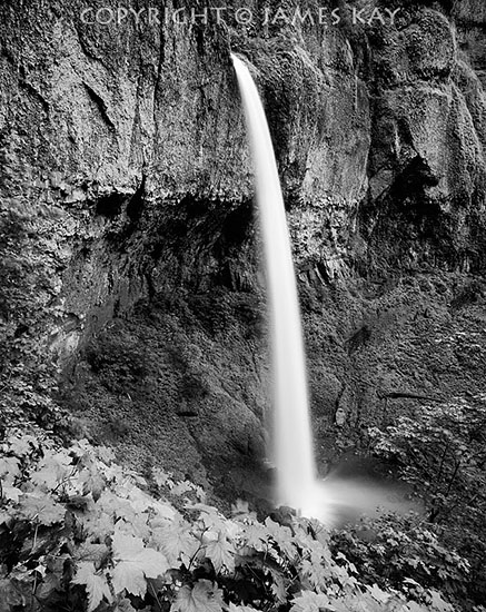 ID# 67-OR-CG-0019-BW