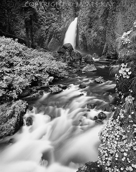 ID# 67-OR-CG-0039-BW