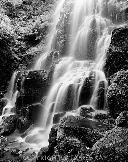 ID# 67-OR-CG-0068-BW