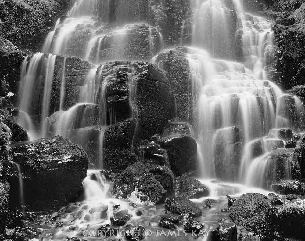 ID# 67-OR-CG-0073-BW