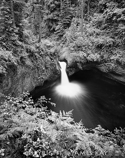 ID# 67-OR-CG-0080-BW