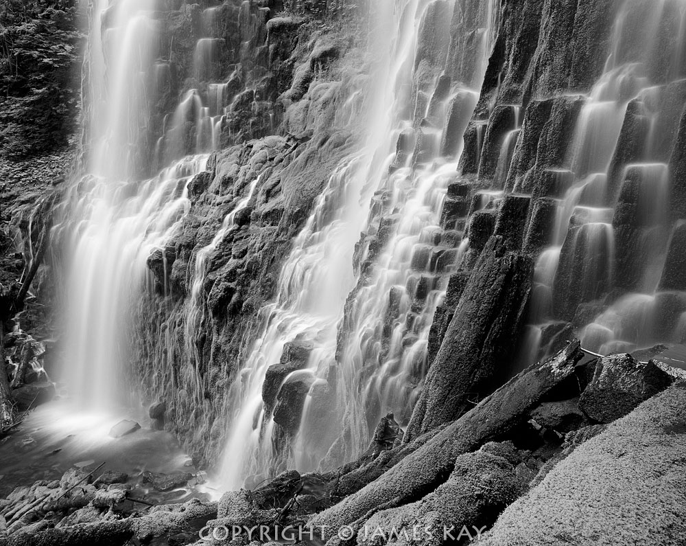 ID# 67-OR-WT-0010-BW