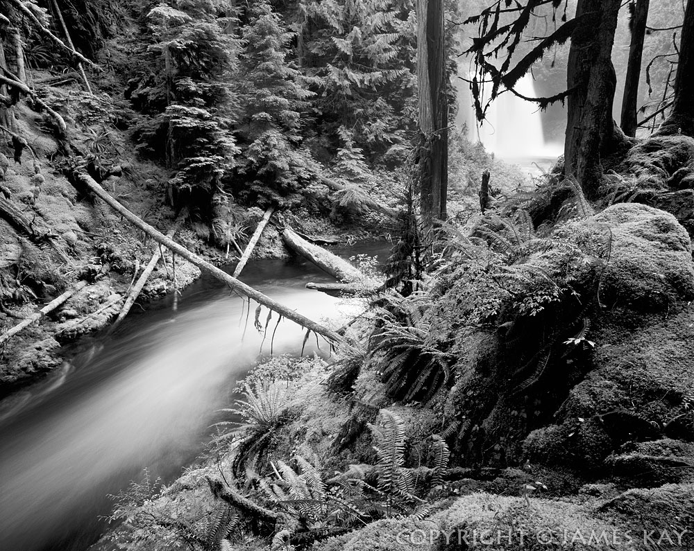 ID# 67-OR-WT-0024-BW