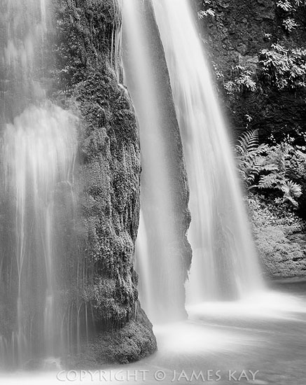 ID# 67-OR-WT-0063-BW