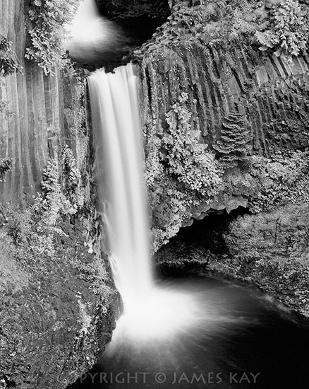 ID# 67-OR-WT-0073-BW