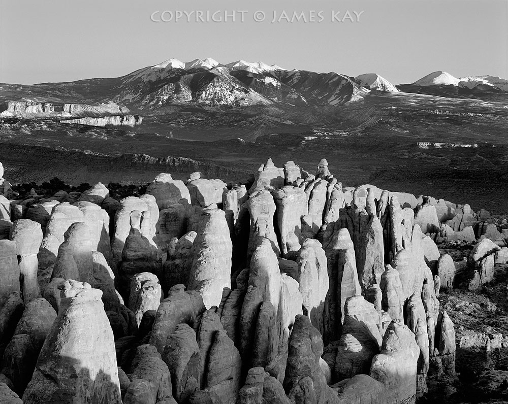 ID# 67-UT-AR-0028-BW