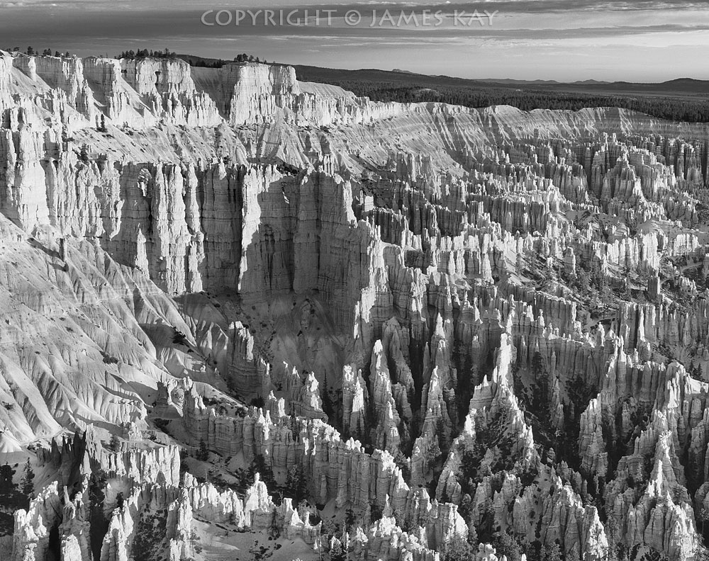 ID# 617-UT-BRY-0025-BW