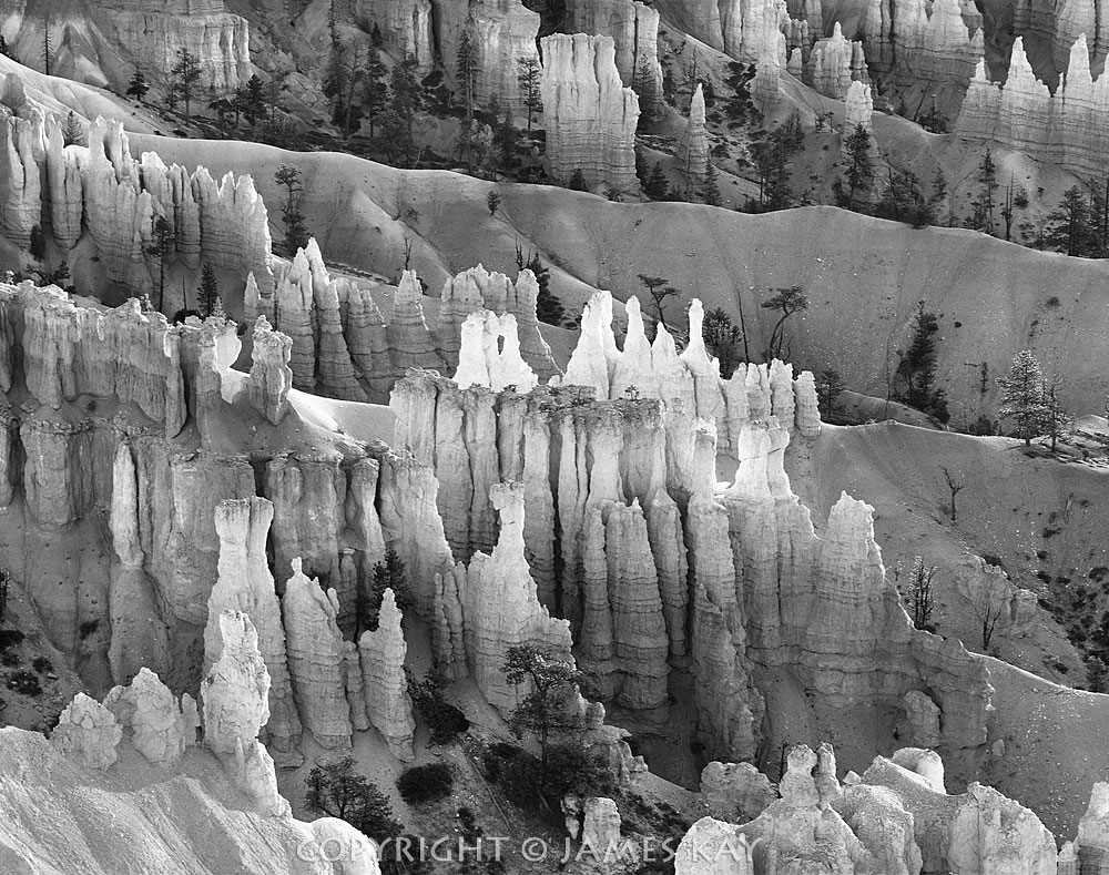 ID# 67-UT-BRY-0036-BW