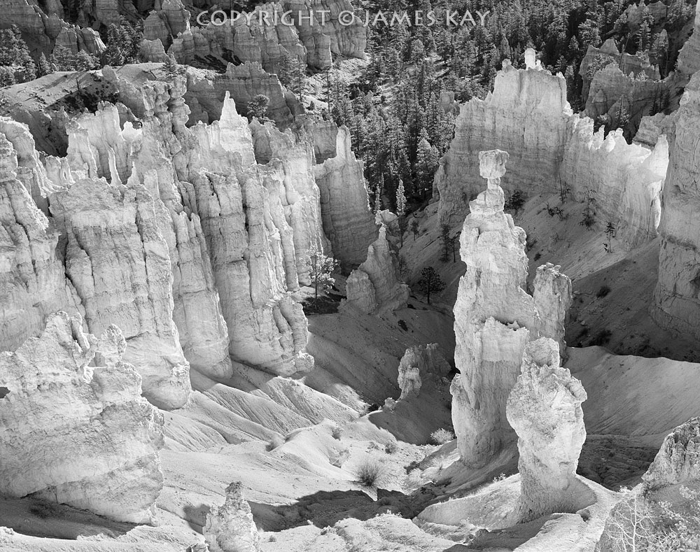 ID# 67-UT-BRY-0065-BW