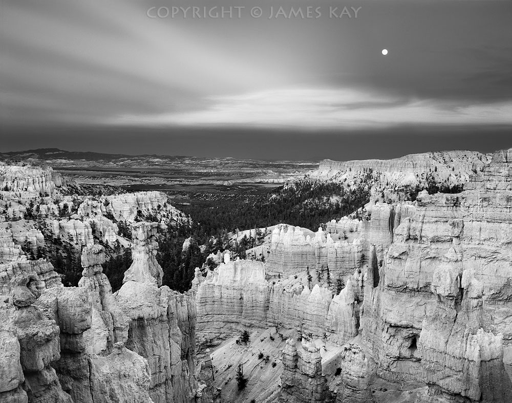 ID# 67-UT-BRY-0068-BW