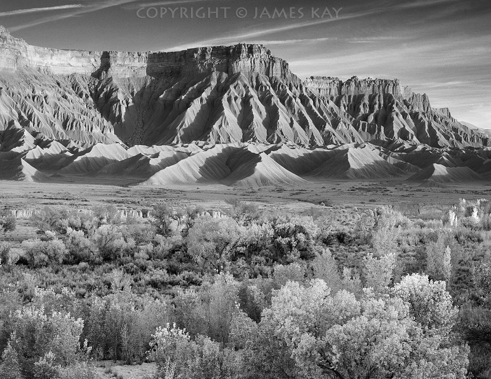 ID# 67-UT-CA-0050-BW