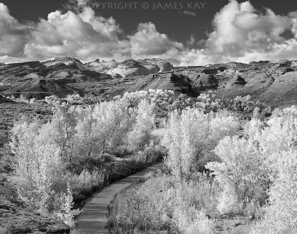 ID# 67-UT-CR-0026P-BW